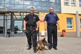 Zobacz najlepiej wyszkolonego psa policyjnego w Łódzkiem [ZDJĘCIA]