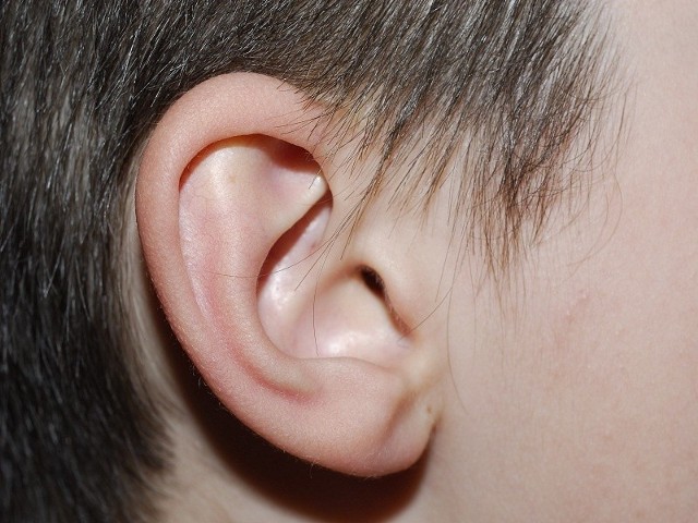 Fachowcy udzielą też wyczerpujących informacji na temat wad słuchu u dzieci i pomogą rozwiać niepokoje i wątpliwości.