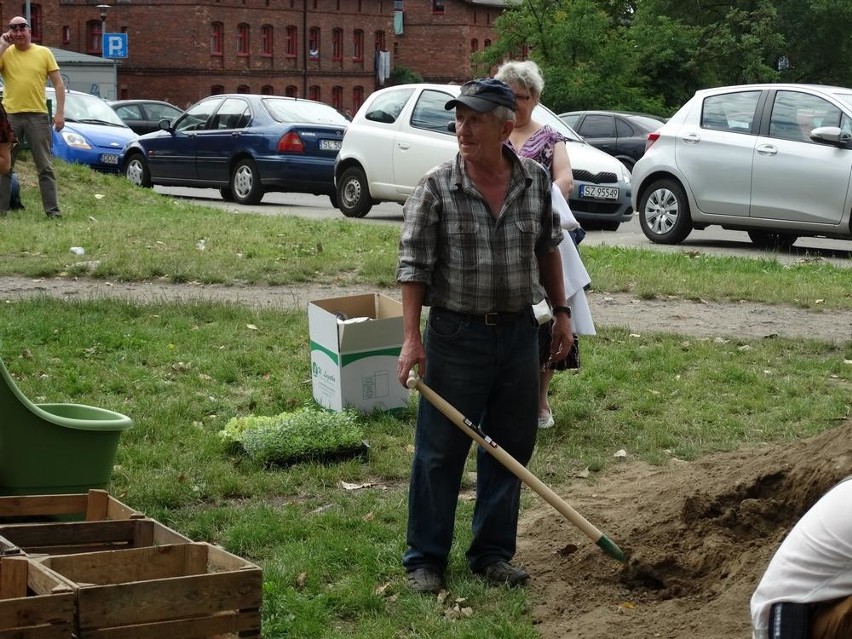 Ruda Śląska: Na Kaufhausie powstaje ogród społeczny