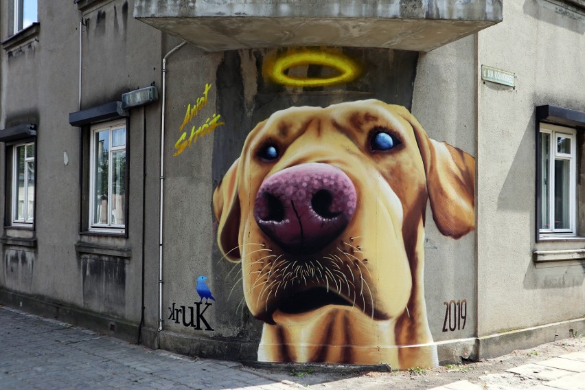 Psi anioł stróż na ścianie kamienicy w Pabianicach - nowy mural [ZDJĘCIA]
