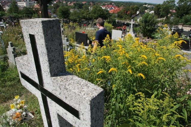 Zieleń na cmentarzu Nowym zupełnie wymknęła się spod kontroli pracowników obsługi nekropolii. Krzaki są prawie tak wysokie, jak ludzie.