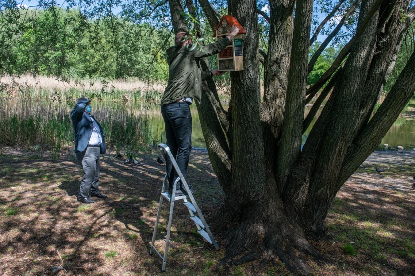 150 domków dla owadów zostaje zawieszonych na drzewach i...