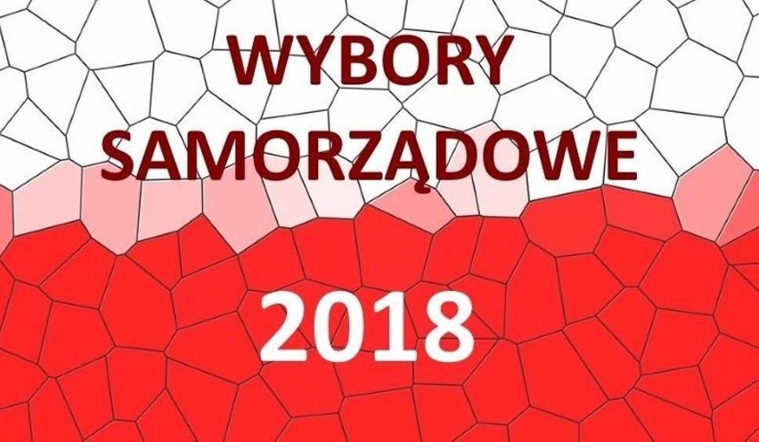 Wyniki wyborów samorządowych 2018 do rady miasta Stalowej Woli