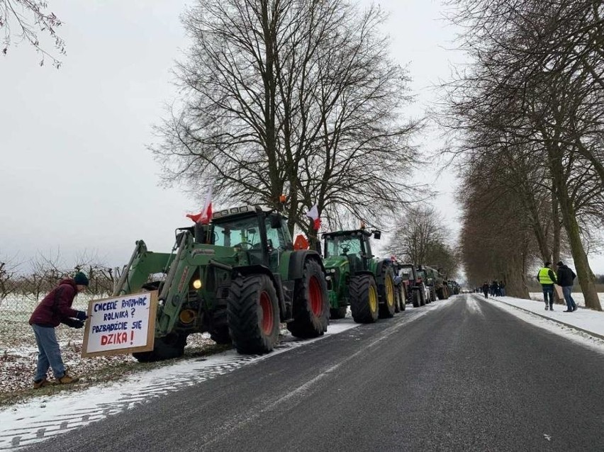 Piła: Protest rolników. Zablokowali drogę. Pomagają się...