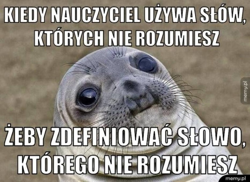 Dzień Nauczyciela z przymrużeniem oka. Wszystkiego najlepszego dla naszych pedagogów Zobacz MEMY