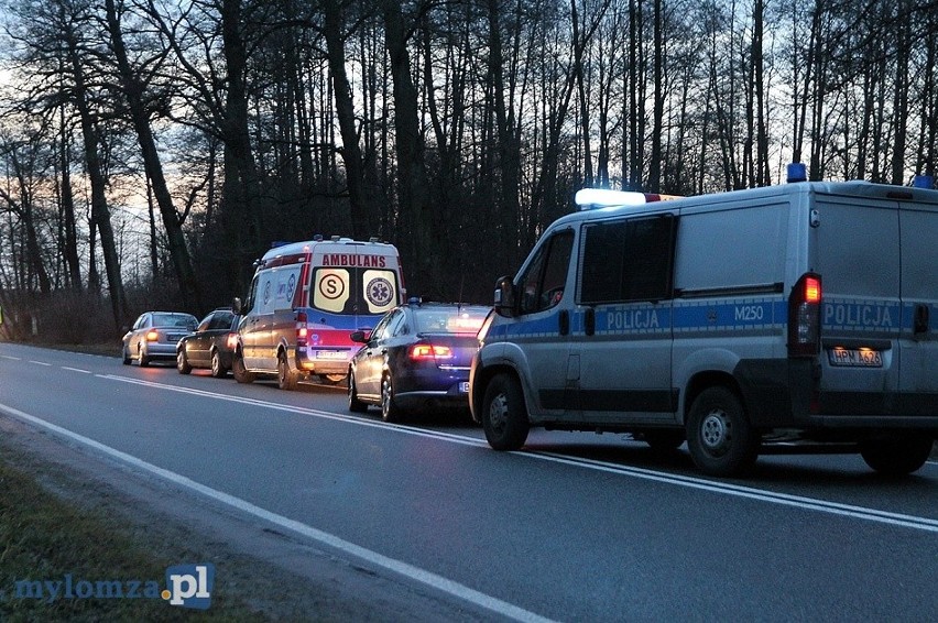 Ze wstępnych informacji policjantów wynika, że poboczem szły...