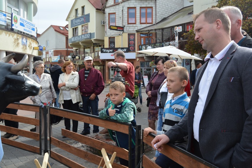 Ostrołęka. Kurpiowskie Targi Rolnicze 2019