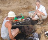 Czarnówko. Archeolodzy odkryli orzechy laskowe sprzed 2000 lat