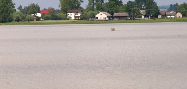 To efekt "cofki&#8221; na Nidzie podczas minionego weekendu. Po wodą znalazły się ogromne połacie łąk i pól uprawnych w gminie Nowy Korczyn.