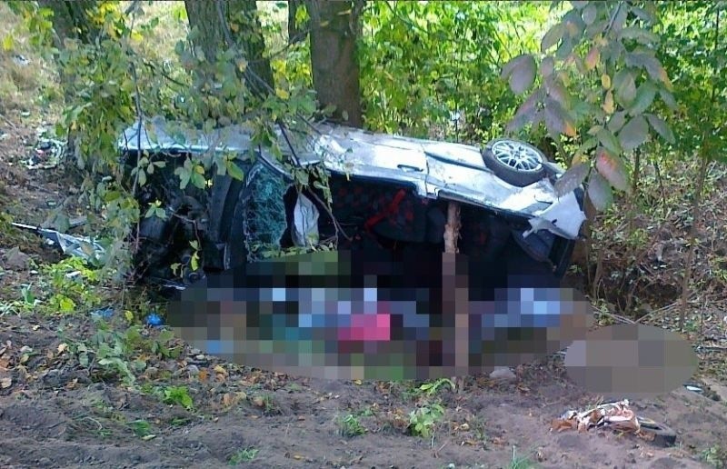 Kąp. Wypadek na DK 63. Golf koziołkował i uderzył w drzewo na wysokości 3,5 metra (zdjęcia)