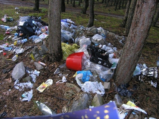 Do ratusza w Koronowie wpływa w roku około 300 skarg na mieszkańców, którzy zanieczyszczają środowisko