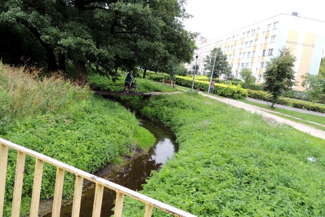 Na wysokości Rubinkowa Struga Toruńska raz bardziej raz mniej wartko, ale wciąż jednak płynie