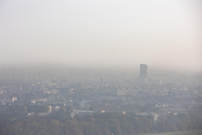 Kraków. Smog natychmiast pogarsza koncentrację dzieci. Alarmujące wyniki badań UJ. Główni truciciele powietrza to stare diesle