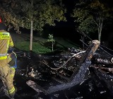 Pożar stodoły w gminie Łagów. W akcji dziewięć zastępów straży