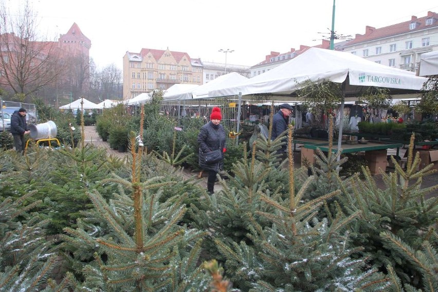 Najwięcej osób kupuje choinki na kilka dni przed świętami.