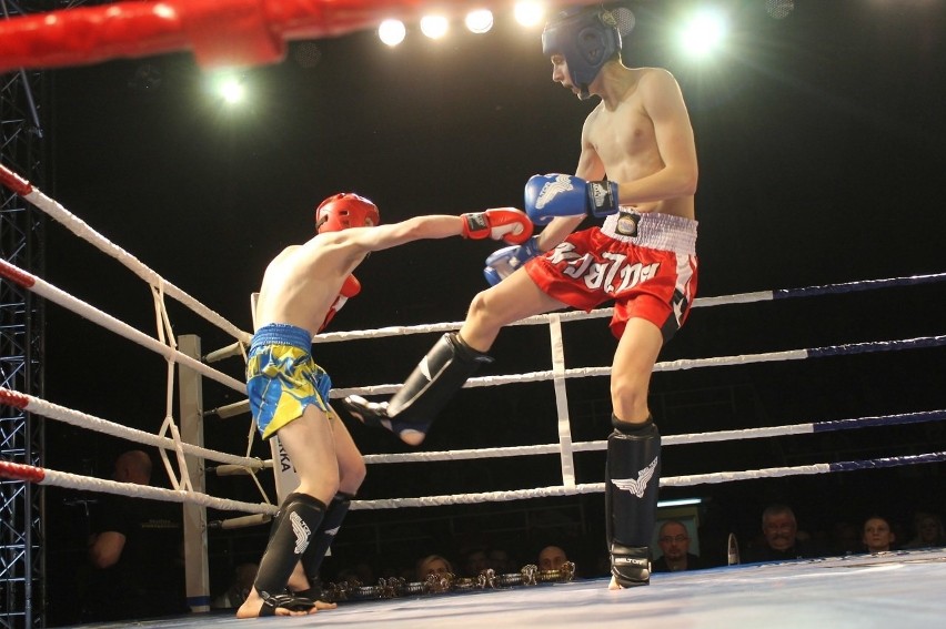 Głogowianie zdominowali Legion Fight Night [Zdjęcia Część 1]