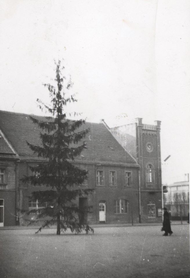 Choinka na mikołowskim rynku, Mikołów, początek lat 70....