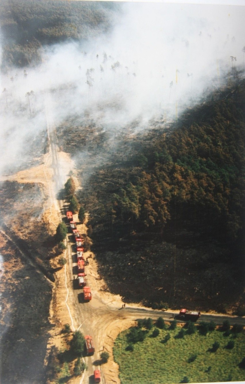 Pożar lasu w Kuźni Raciborskiej