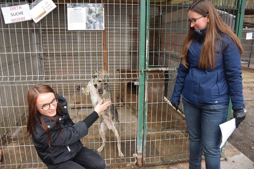 Od lewej: Katarzyna Kaźmierska, kierowniczka schroniska,...