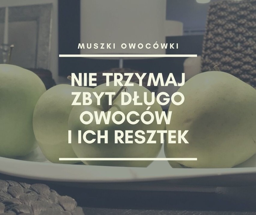 Nie przetrzymuj zbyt długo owoców i ich resztek.