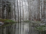 Zima w Nisku na fotografiach. Najlepsze prace nagrodzone przez starostę i internautów [ZDJĘCIA]
