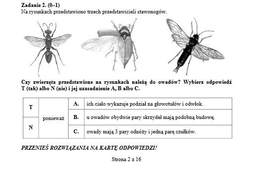 Egzamin gimnazjalny 2014 - przyroda, matematyka - arkusze...