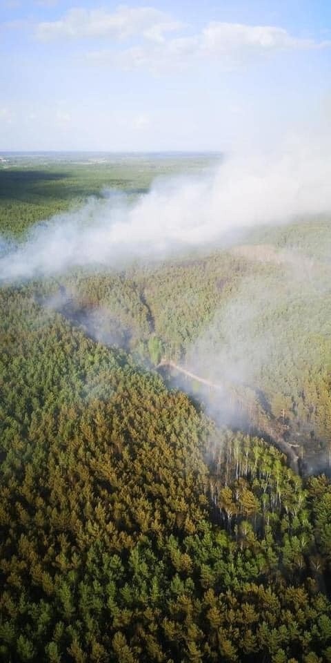 Kilka dni trwało dogaszanie pożaru w gminach Nowe Miasto nad Pilicą i Odrzywół. Znamy szczegóły wielkiej akcji strażaków. Są nowe zdjęcia