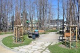 Zakopane. Park miejski otwarty. Ludzi jednak jak na lekarstwo. Boją się spacerować?