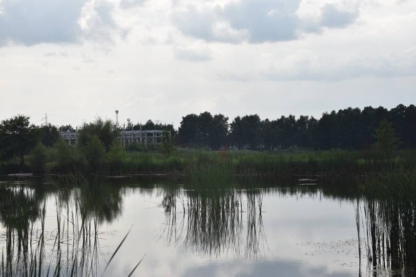 Huki na ulicę Rybnicką mają dobiegać ze stawów hodowlanych.