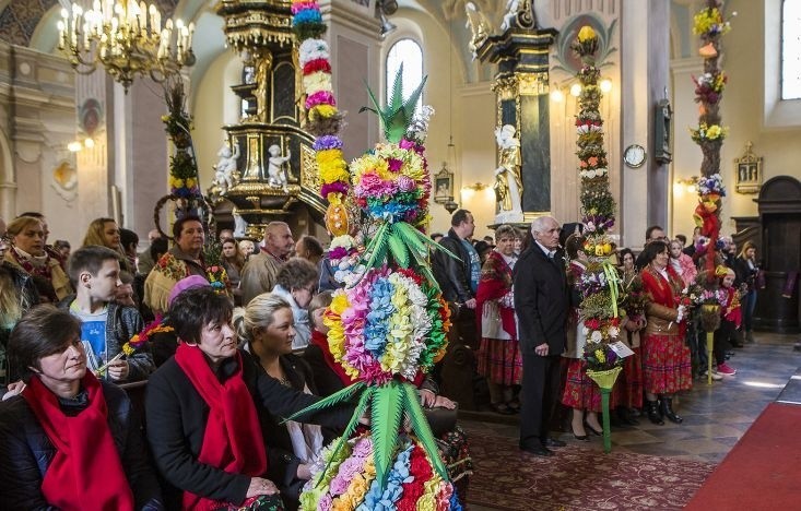 Konkurs Palm Wielkanocnych rozsztrzygnięty w Pińczowie. Najwyższa mierzyła ponad 10 metrów