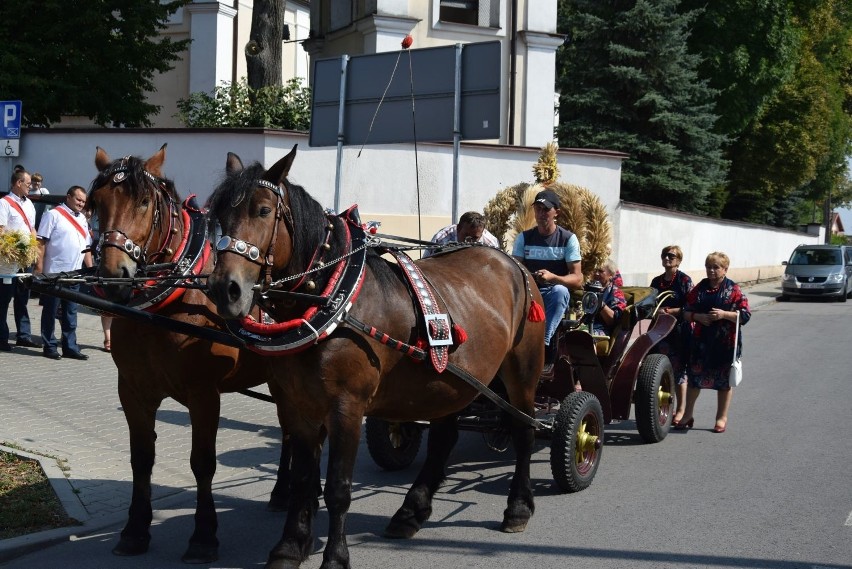 Wierzbica. Barwne i kolorowe dożynki. Uczestnicy pomogli też Olafowi Wójcickiemu