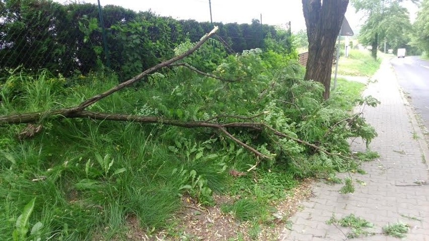 Silny wiatr w powiecie rybnickim. Ponad 24 interwencje straży pożarnej! 