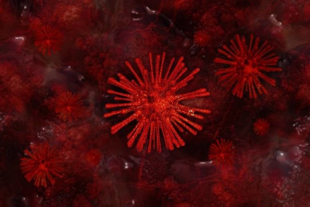 Odpowiedź na słowa lekarki z Rybnika: "Testów na koronawirusa robimy na Śląsku mnóstwo. Więcej działań niż potrzeba" - mówi Urząd Wojewódzki