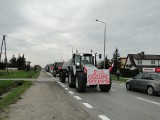 Protest rolników w Radomiu. Ciągnikami jechali bardzo wolno głównymi ulicami miasta, chcą odrzucenia rządowych pomysłów [ZDJĘCIA]