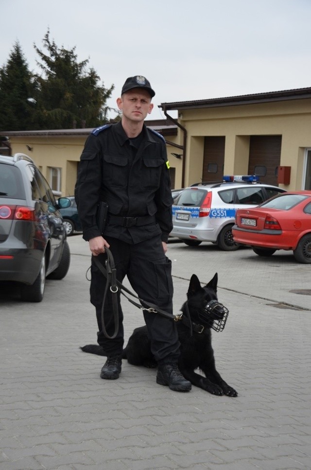 Owczarek niemiecki w służbie policji w Bochni