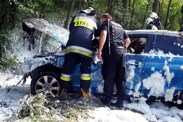 Policjanci ze strzeleckiej drogówki zatrzymali 20-latka, który uciekał kradzionym samochodem. Mężczyzna nie reagował na sygnały do zatrzymania, jadąc nawet 150 km/h w terenie zabudowanym. Został zatrzymany po tym, jak rozbił samochód.Cała sytuacja miała miejsce w poniedziałek (4 września) w Gościmiu w gminie Drezdenko. To tutaj policjanci zauważyli kierowcę w niebieskim audi, który od razu wzbudził ich podejrzenie. Kiedy ruszyli, aby go zatrzymać do kontroli, szybko okazało się, że kierowca nie ma zamiaru z nimi rozmawiać. Pomimo sygnałów świetlnych i dźwiękowych kierowca audi kontynuował jazdę, powodując ogromne zagrożenie w ruchu drogowym. Jadąc w kierunku Starego Kurowa, kilkukrotnie wyprzedzał na łuku drogi, a nawet wykorzystywał do tego chodniki. Pędził nawet 150 km/h w terenie zabudowanym. Ta informacja trafiła do dyżurnego strzeleckiej komendy, który w rejon pościgu skierował dostępne patrole. Kierowca audi uciekając przed policjantami powodował ogromne zagrożenie dla innych uczestników ruchu drogowego. Kiedy wjechał na wąska drogę gruntową w Starym Kurowie, w pewnym momencie stracił panowanie nad samochodem i wypadł z drogi uderzając w drzewo. Pojazd, którym kierował stanął w płomieniach. To jednak go nie zniechęciło. Dalej próbował uciekać pieszo. Szybko jednak został zatrzymany przez policjantów. Okazało się, że jest to 20-letni mieszkaniec powiatu strzelecko-drezdeneckiego, notowany wcześniej za przestępstwa, a auto którym uciekał warte kilkadziesiąt tysięcy złotych zostało skradzione na terenie Niemiec. Jeszcze tego samego dnia trafił do policyjnego aresztu. Niebawem usłyszy zarzuty związane z kradzieżą samochodu, niezatrzymaniem się do kontroli i spowodowaniem zagrożenia w ruchu drogowym.Zobacz też: Pościg za nietrzeźwym kierowcą busa. Auto wcześniej ukradł