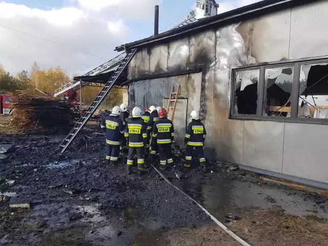 Na miejscu niedzielnej akcji starachowickich strażaków