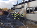 Pożar w tartaku w Mircu. Kilkudziesięciu strażaków w akcji