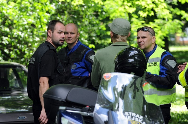 Oblawa na jelenia
Oblawa na jelenia w parku Zeromskiego.