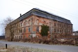 Imponujący Pałac w Bycinie mógł być turystyczną perłą Śląska, a zostały ruiny. FOTO