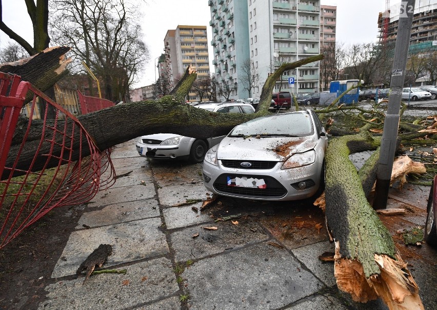 Wichura nad Szczecinem [4.03.2019 r.] Drzewa łamały się jak zapałki [WIDEO, ZDJĘCIA]