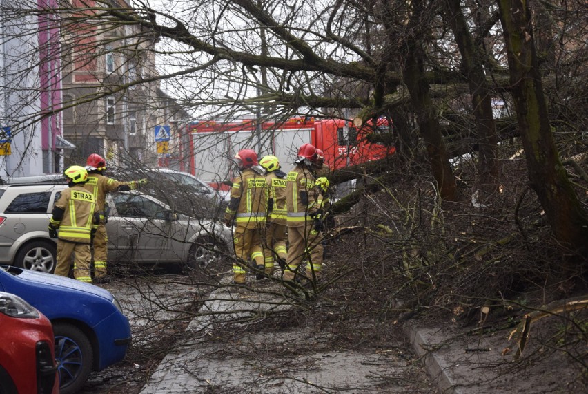 Wiatr łamie drzewa w Stargardzie i całym regionie. Wiele interwencji strażaków [ZDJĘCIA]