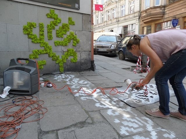 W Zamku Cieszyn można się przekonać, jak niewiele trzeba, by "zazielenić" nasze miasta