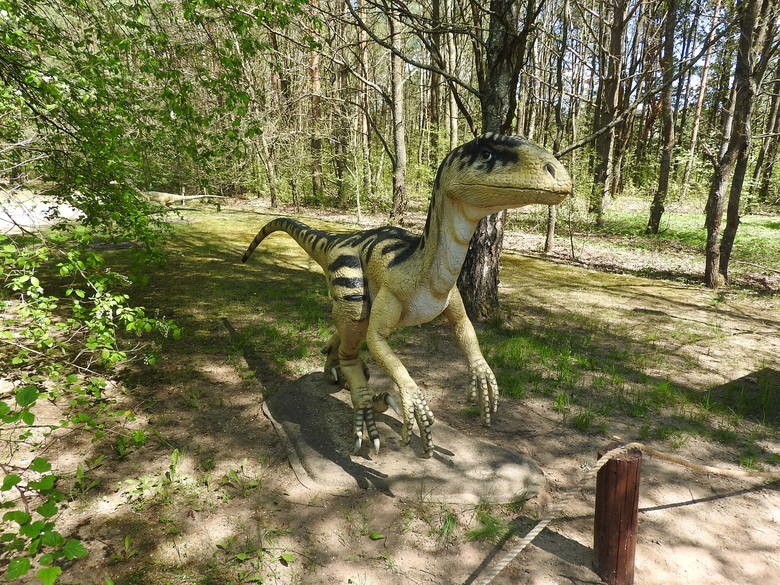 Można odwiedzać Jurajski Park Dinozaurów (Muzeum Dziejów...