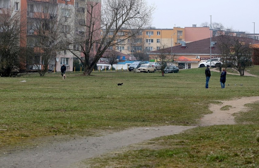 Na osiedlu Zawadzkiego w Szczecinie powstanie park. "Psie Pole" zmieni się w teren rekreacyjny