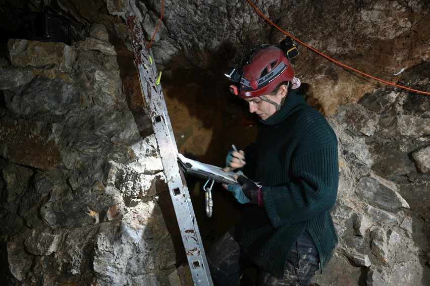 Niesamowite odkrycie w Jaskini Raj w Chęcinach. Grupa archeologów znalazła szczątki zwierząt plejstoceńskich. Zobacz zdjęcia i film