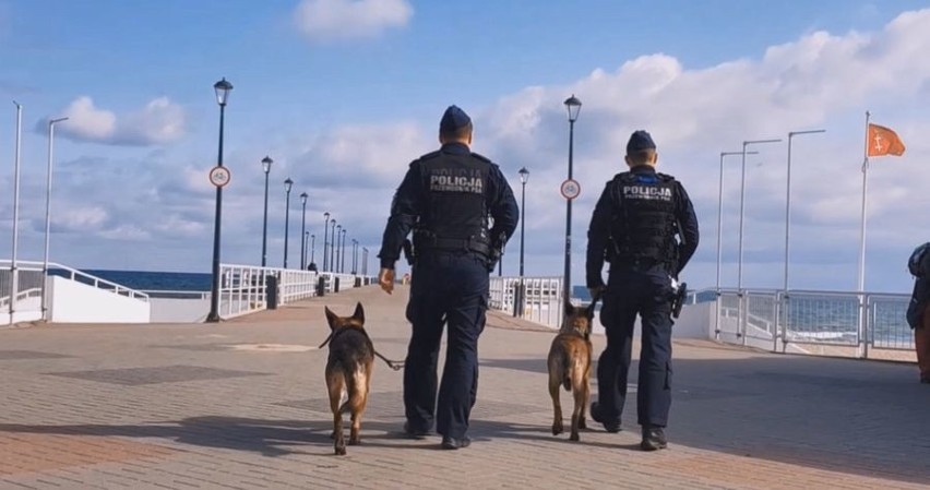 Szukają zaginionych osób, narkotyków oraz ładunków wybuchowych. Psy pracujące w gdańskiej komendzie [zdjęcia, wideo]