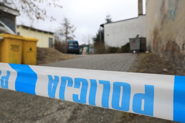 W mieszkaniu przy ulicy Bielawskiego w Fordonie wracająca ze szkoły dziewczynka znalazła zmasakrowane zwłoki swego brata, 14-letniego Dawida.