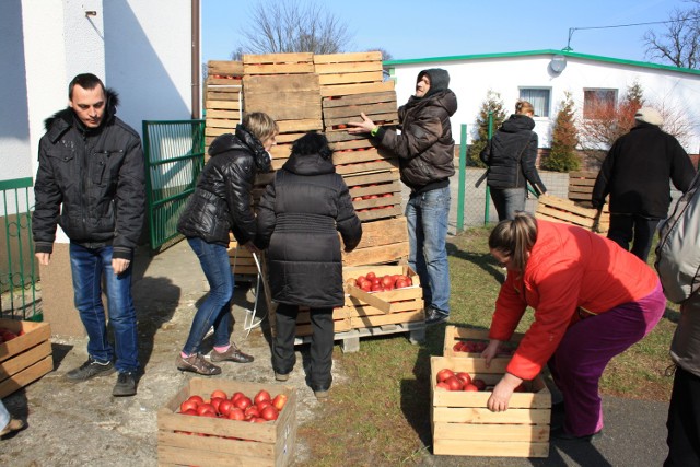Stąd jabłka trafią do pozostałych szkół w gminie. Oznacza to, że na każdego ucznia przypadnie po około 20 kilogramów owoców.
