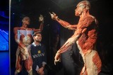 Wystawa BODY WORLDS powraca do Katowic z nową ekspozycją!